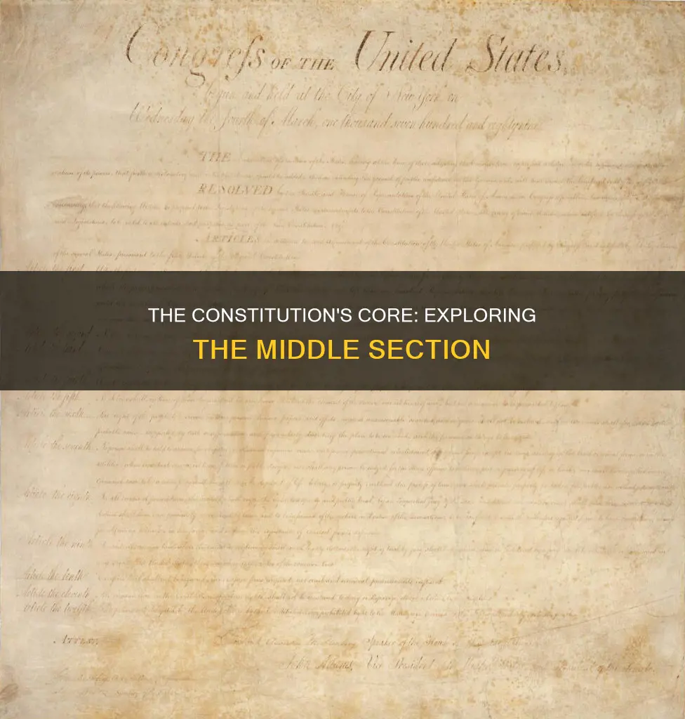 what is the middle part of the constitution