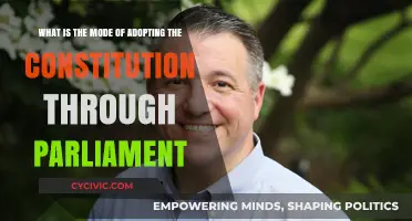 Parliamentary Process for Adopting a Constitution