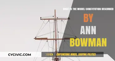 Ann Bowman's Model Constitution Explained