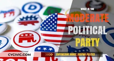 Understanding the Moderate Political Party: Centrism, Balance, and Pragmatism Explained