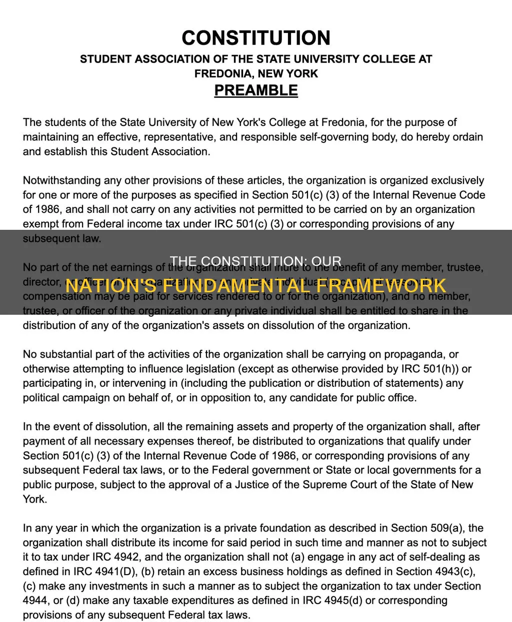 what is the most basic purpose of constitution