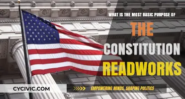 Understanding the Constitution's Core Principles
