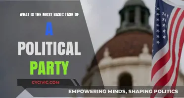 The Core Mission: A Political Party's Fundamental Role Explained