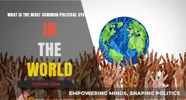 Democracy Prevails: The Most Widespread Political System Globally
