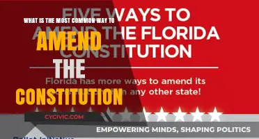 Amending the Constitution: The Most Common Route