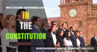 Controversial Constitutional Clause: The Most Divisive Words