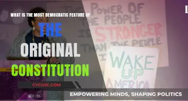 The Constitution's Democratic Foundation: A Historical Perspective