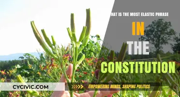 The Constitution's Most Elastic Phrase: "Necessary and Proper