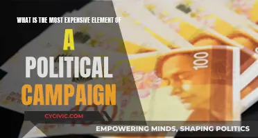 Campaign Costs: The Price of Political Aspirations