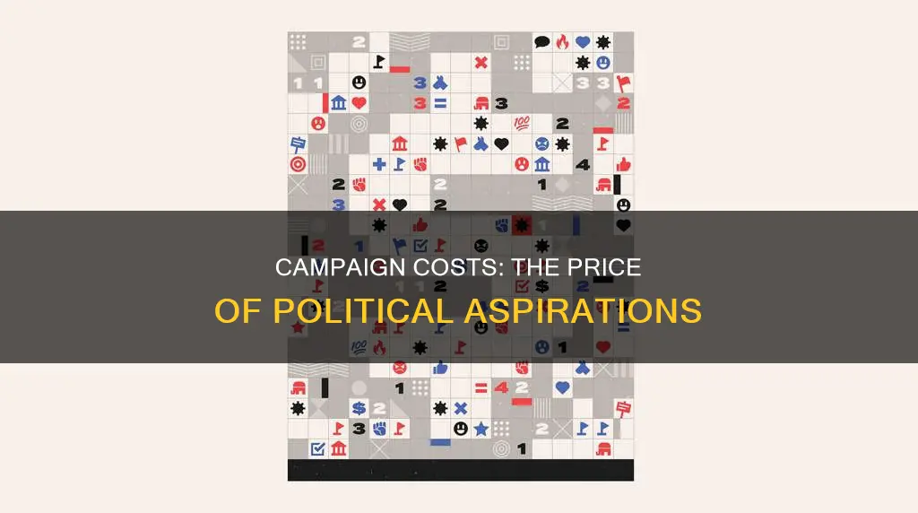 what is the most expensive element of a political campaign