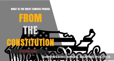 Famous Phrases: Constitution's Most Powerful Words