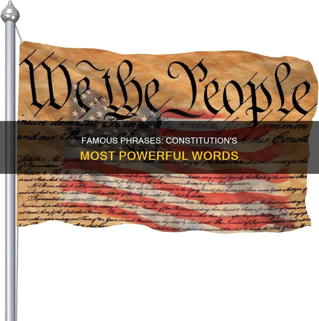 what is the most famous phrase from the constitution