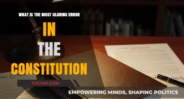 The Constitution's Most Glaring Error: A Historical Oversight