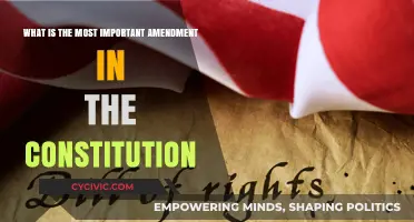 The Right to Freedom: Our Most Vital Amendment