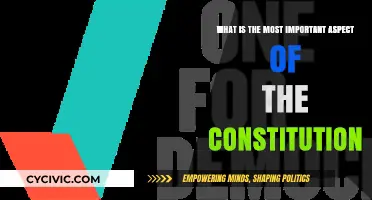 The Constitution's Heart: Individual Rights and Freedoms