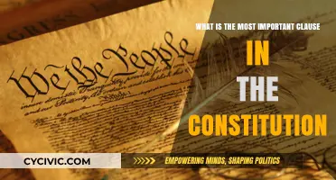 The Heart of the Constitution: The Most Important Clause