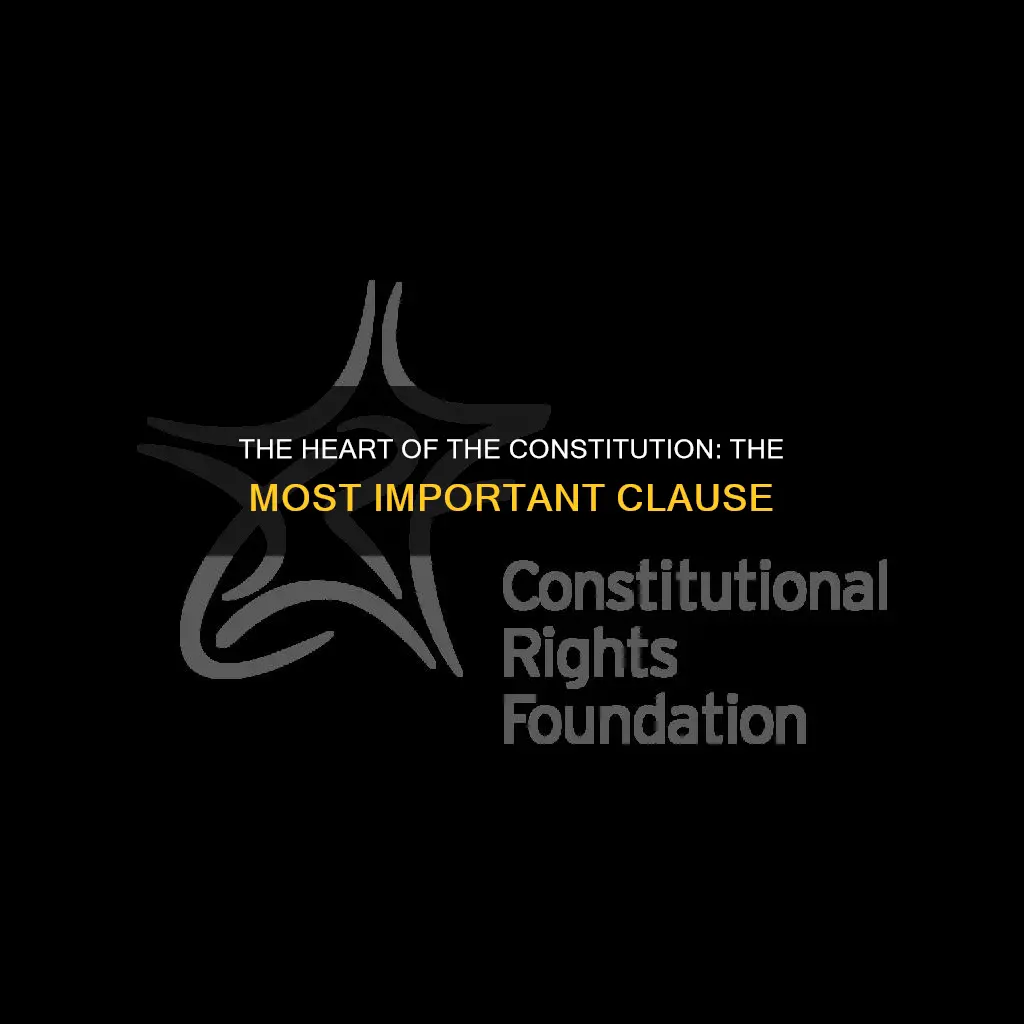 what is the most important clause in the constitution