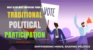 Empowering Democracy: The Vital Role of Voting in Traditional Political Participation
