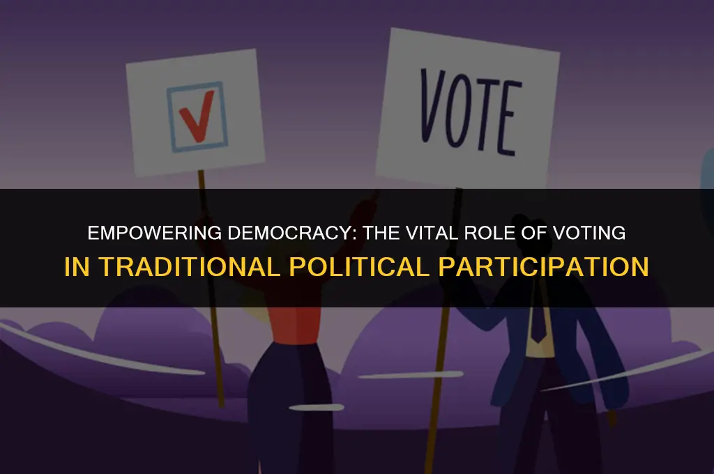what is the most important form of traditional political participation