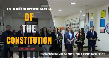 The Supreme Court: Our Constitution's Ultimate Guardian