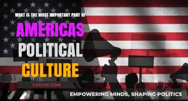 The Heart of American Democracy: Civic Engagement and Representation