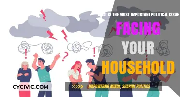 Household Priorities: Identifying the Most Critical Political Issue