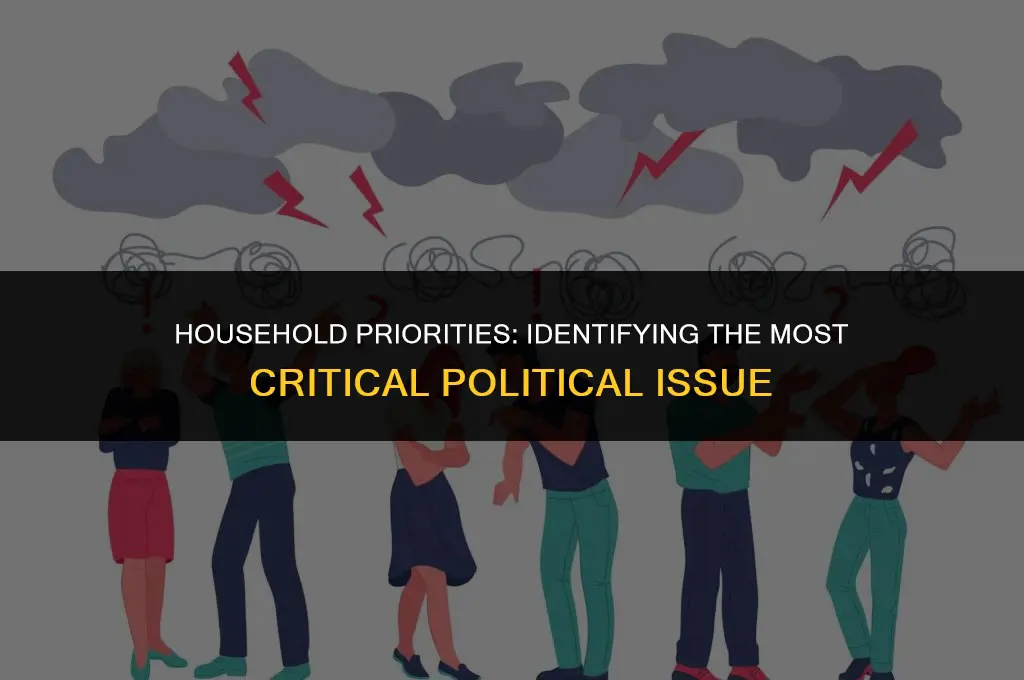 what is the most important political issue facing your household