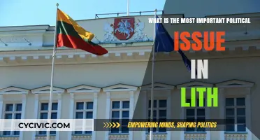 Lithuania's Critical Political Issue: A Comprehensive Analysis