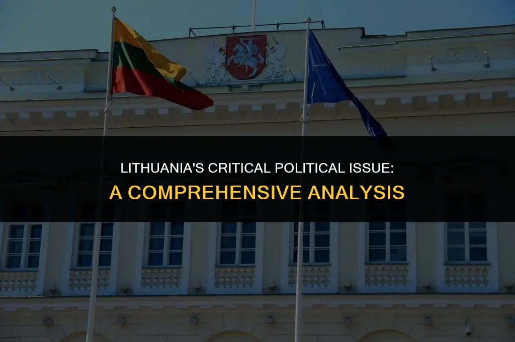 what is the most important political issue in lith