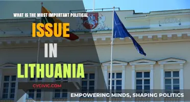 Lithuania's Top Political Challenge: A Comprehensive Analysis