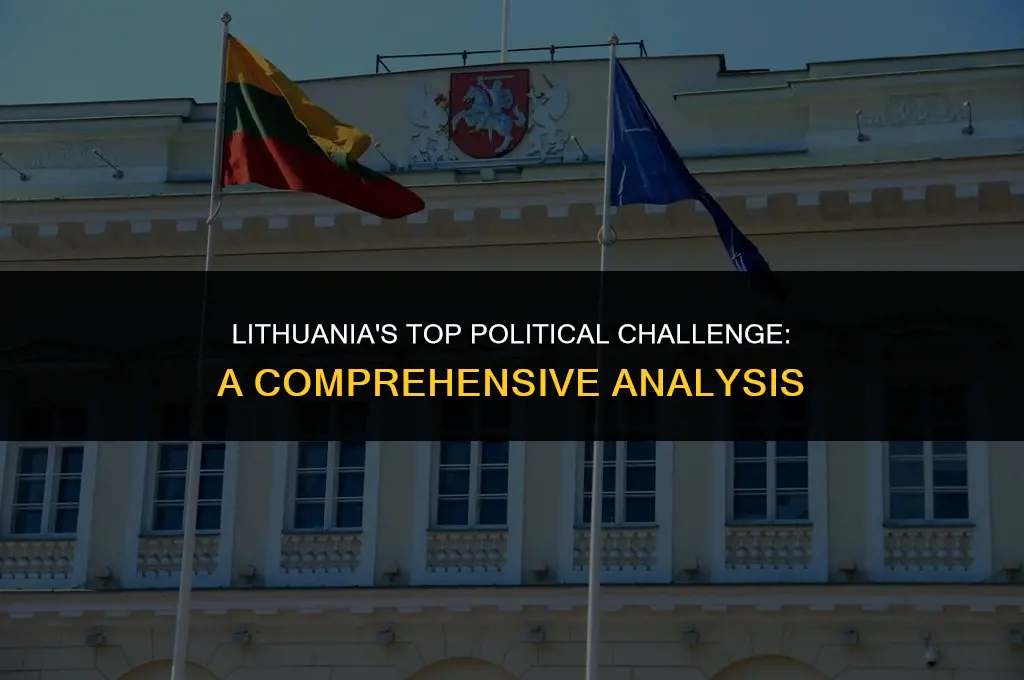 what is the most important political issue in lithuania