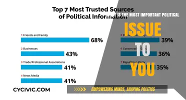 Voicing Priorities: The Political Issue That Matters Most