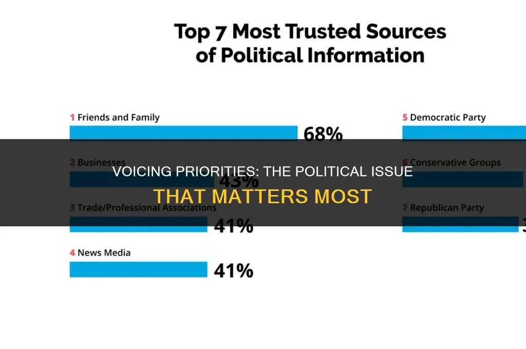 what is the most important political issue to you