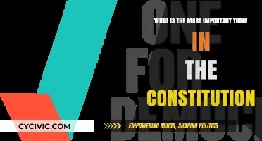 The Constitution's Heart: Individual Rights and Freedoms