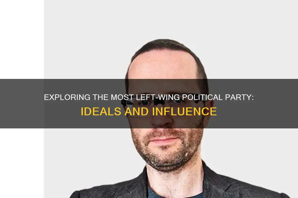 what is the most left political party