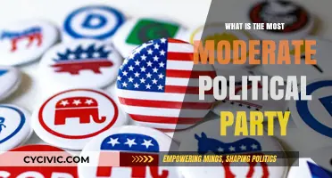 Exploring the Most Moderate Political Party: Balancing Ideologies in Modern Politics