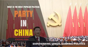 Understanding China's Dominant Political Party: The CCP's Unmatched Influence