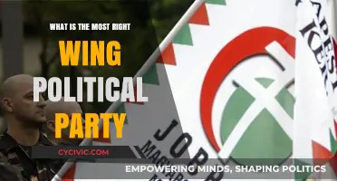 Exploring the Most Right-Wing Political Parties Globally: Ideologies and Impact
