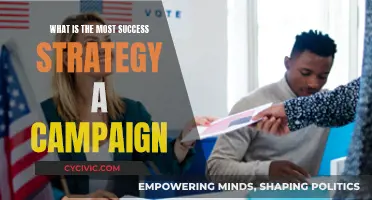 Campaign Success Strategies: The Ultimate Guide to Winning