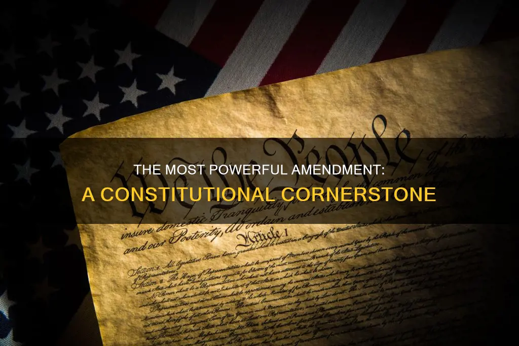 what is the most valuable amendment in the us constitution