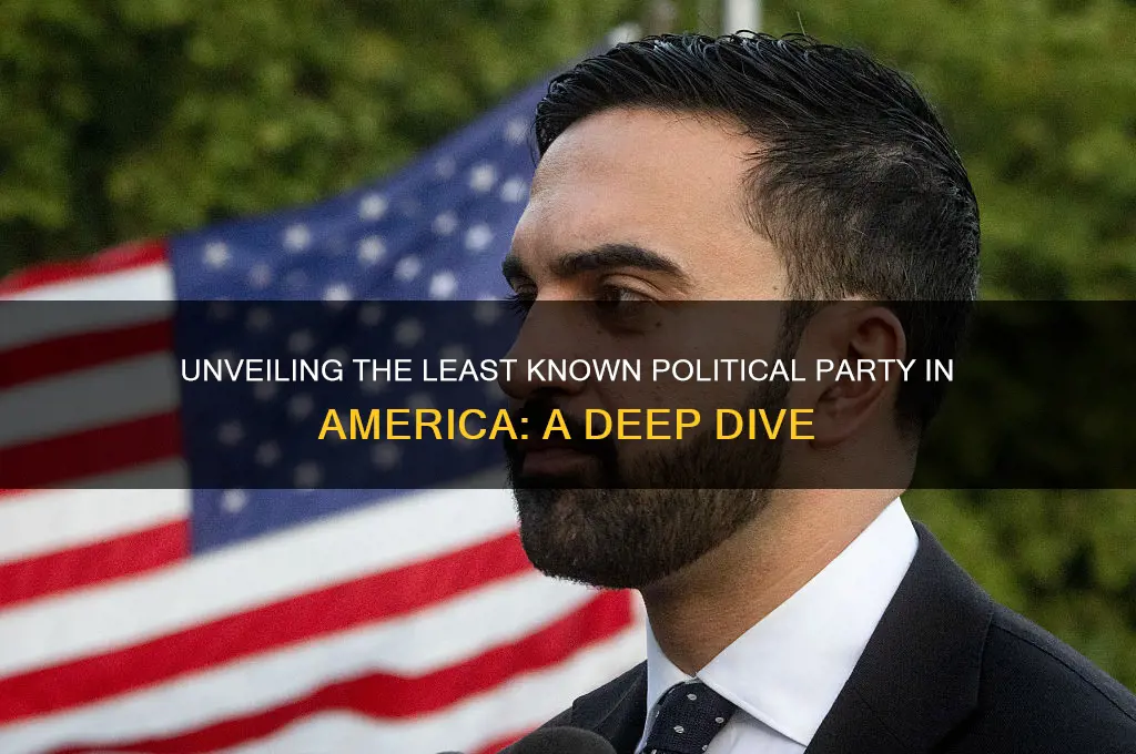 what is the msot obscure political party in the us