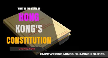Hong Kong's Constitution: A Basic Law Overview