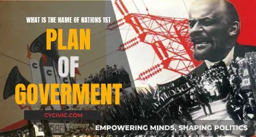 The First Steps of Nations: Government Plans and Names