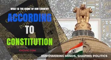 The Constitution's Name for Our Country