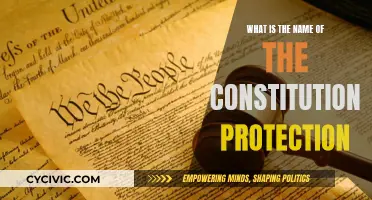 The Constitution's Safeguards: Our Rights and Freedoms Protection
