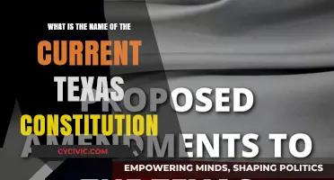 The Evolution of Texas: Its Constitution and History