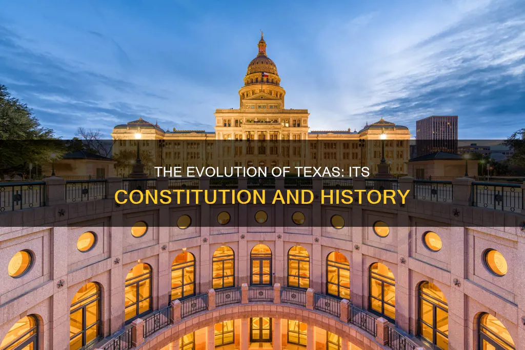 what is the name of the current texas constitution