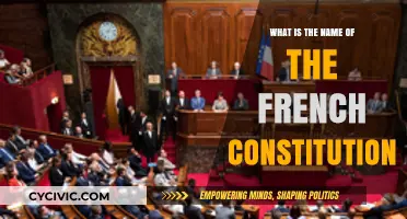 The French Constitution: A Foundation of Democracy