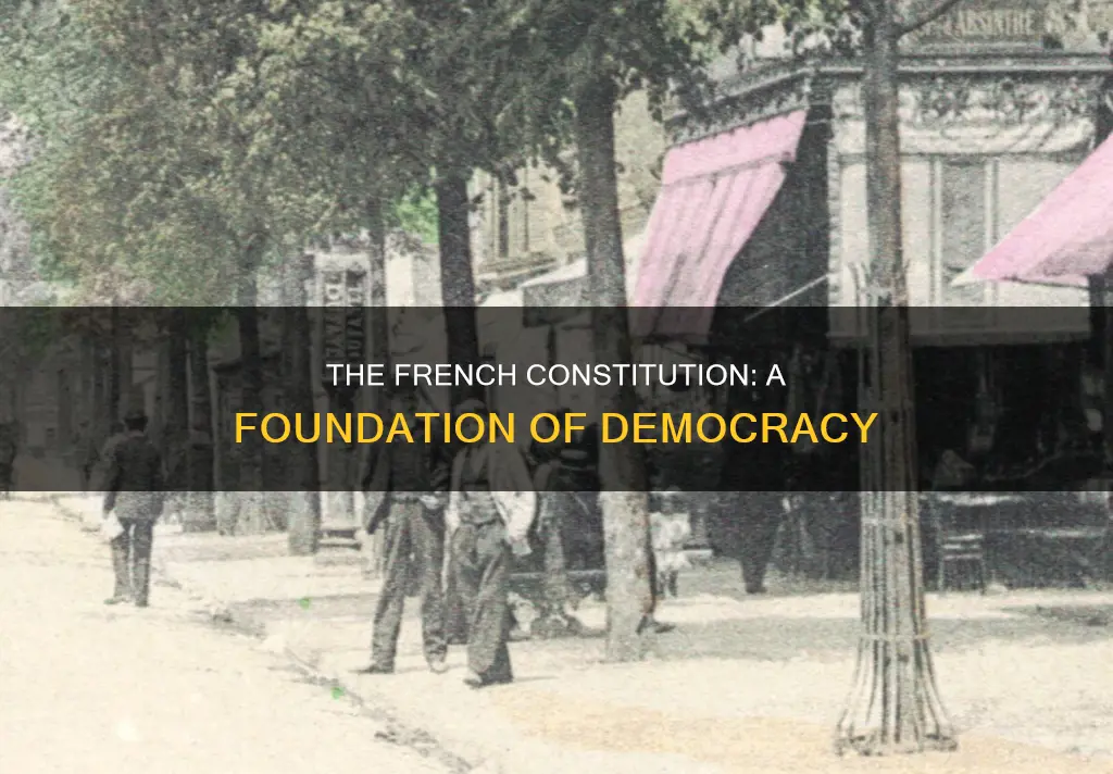 what is the name of the french constitution