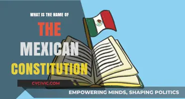 The Mexican Constitution: A Historical Document's Name